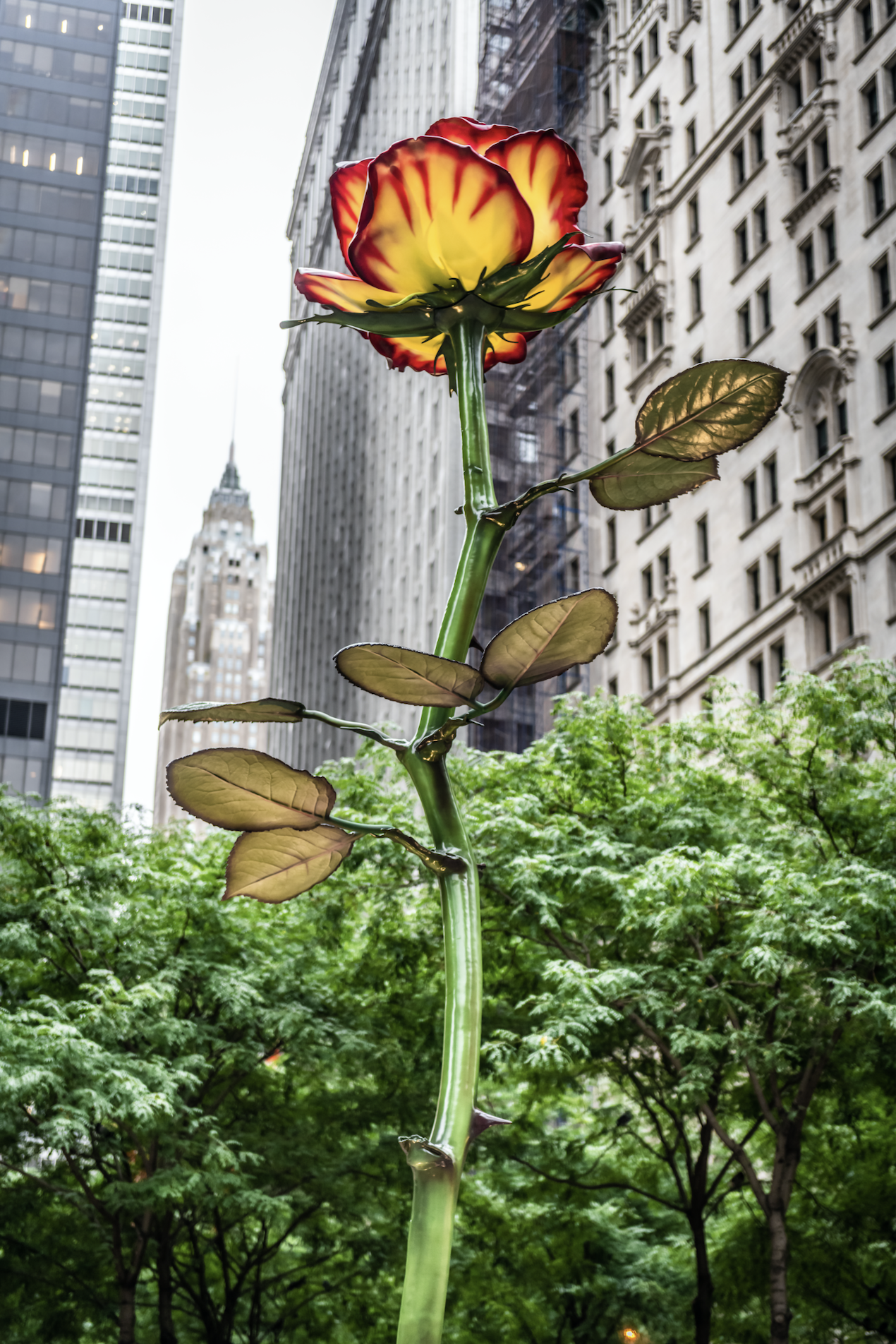 67 Liberty Street, Unit 7 Manhattan, NY 10005 - Photo 12 of 13