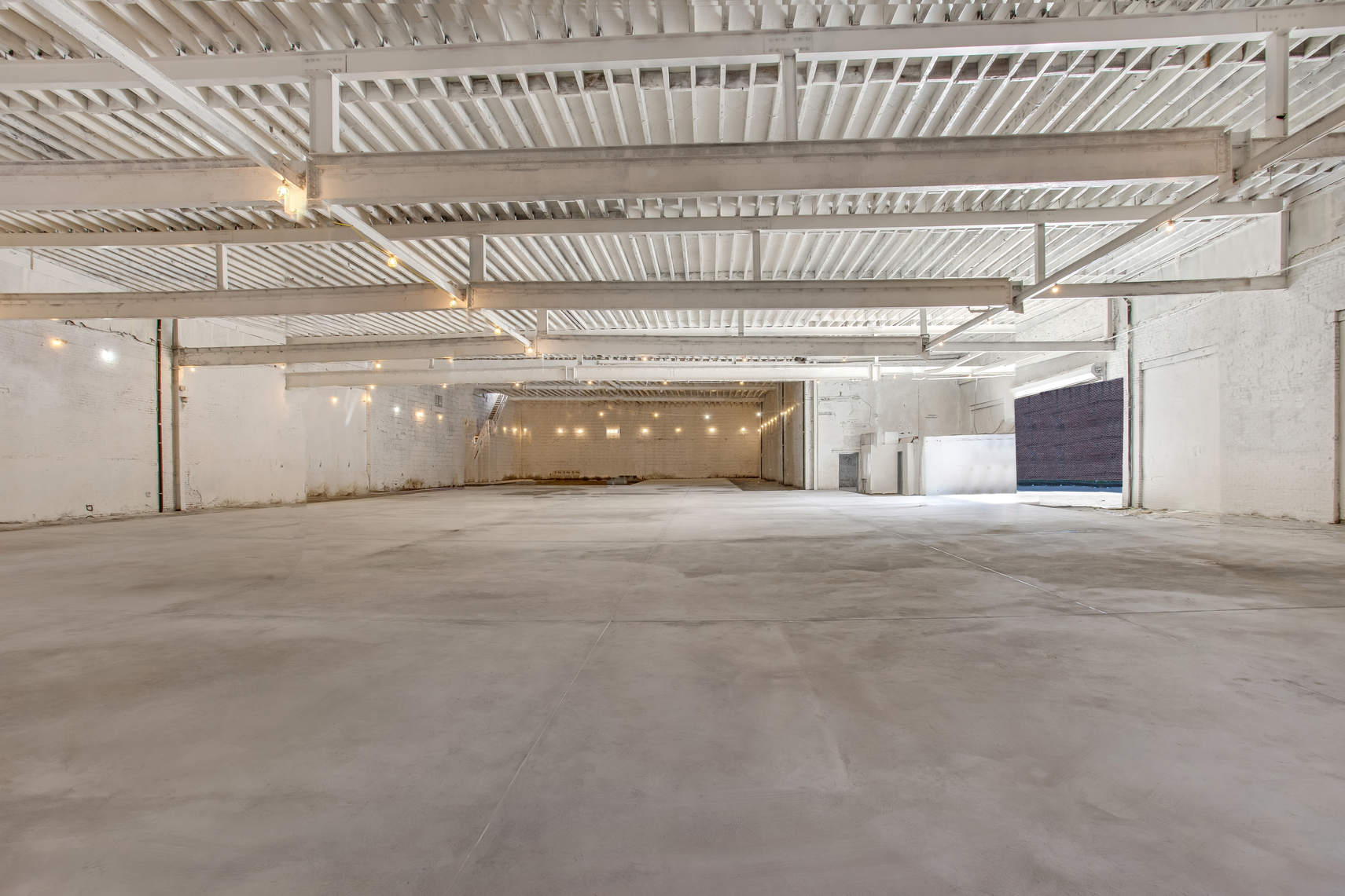 341 Moffat Street Brooklyn, NY 11237 - Photo 4 of 12