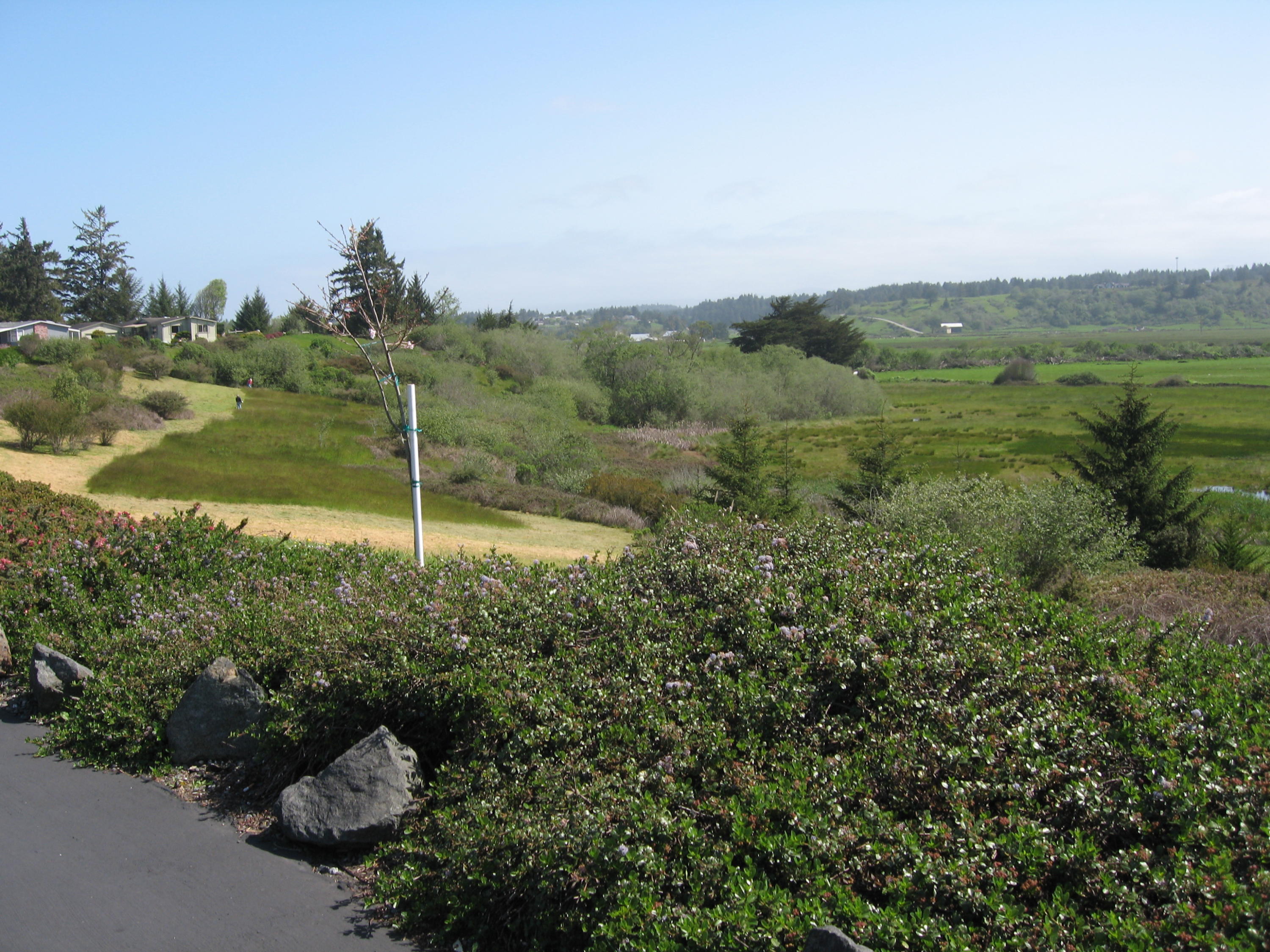 58 Sunshine Way Eureka, CA 95503 - Photo 5 of 12