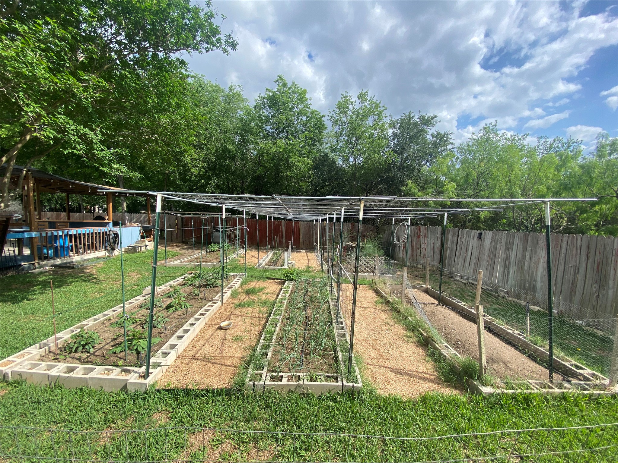 315 Appleton Court Buda, TX 78610 - Photo 28 of 28