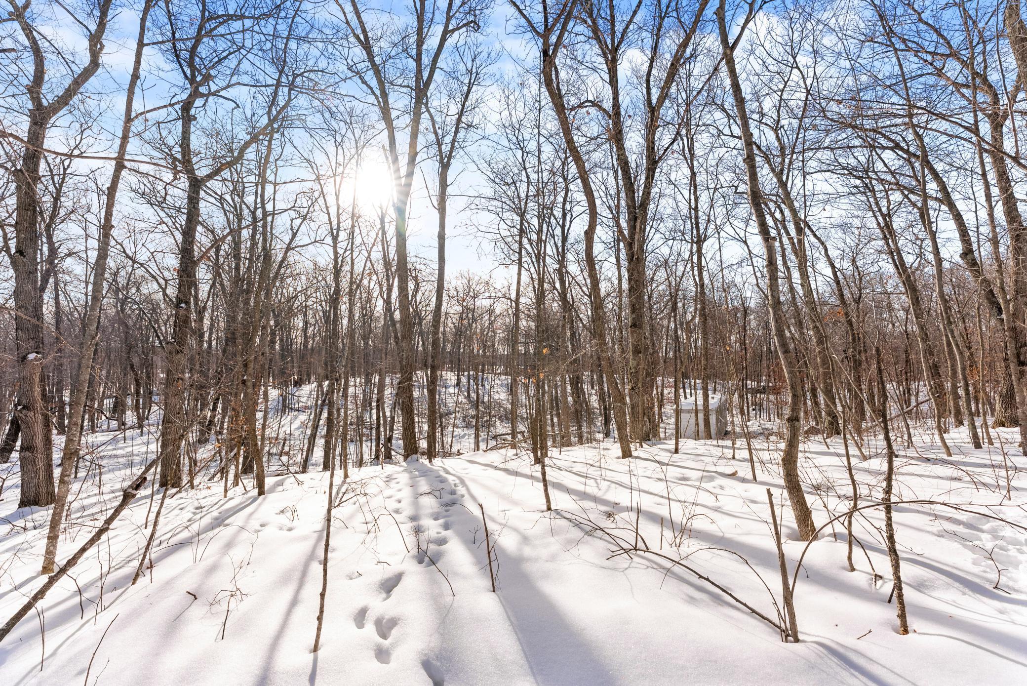 Tbd Chestnut Lane Garrison, MN 56450 - Photo 11 of 13