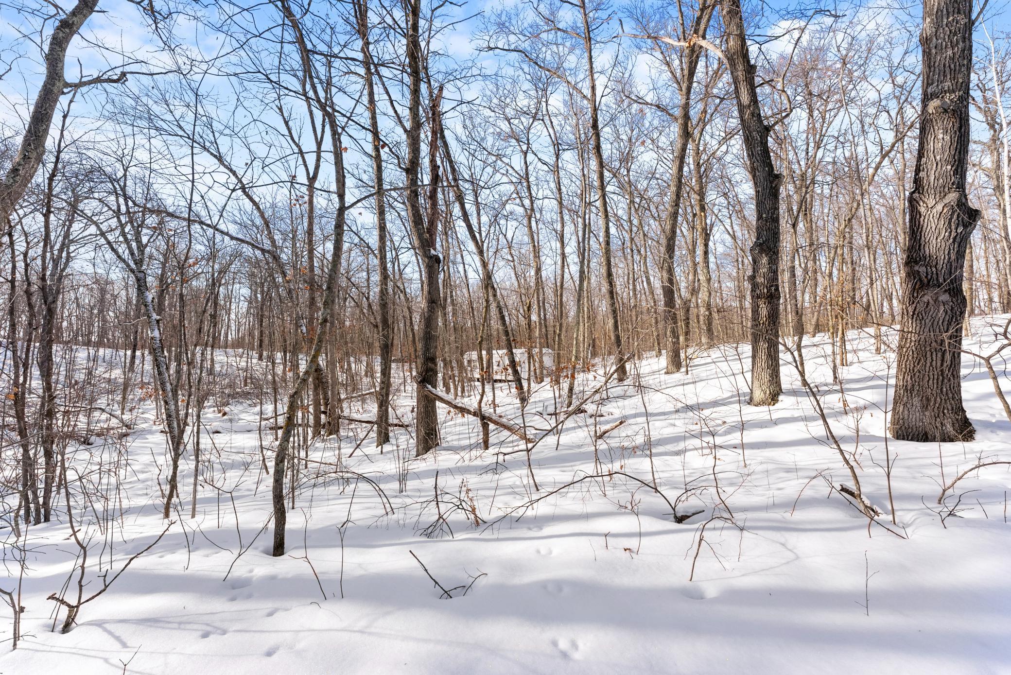 Tbd Chestnut Lane Garrison, MN 56450 - Photo 12 of 13