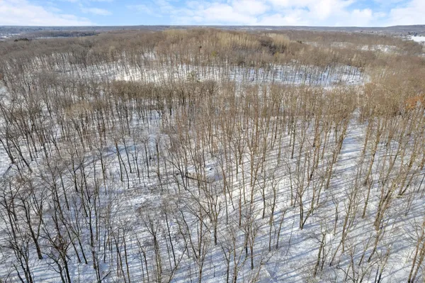 $14,900 | Tbd Chestnut Lane, Garrison, MN 56450