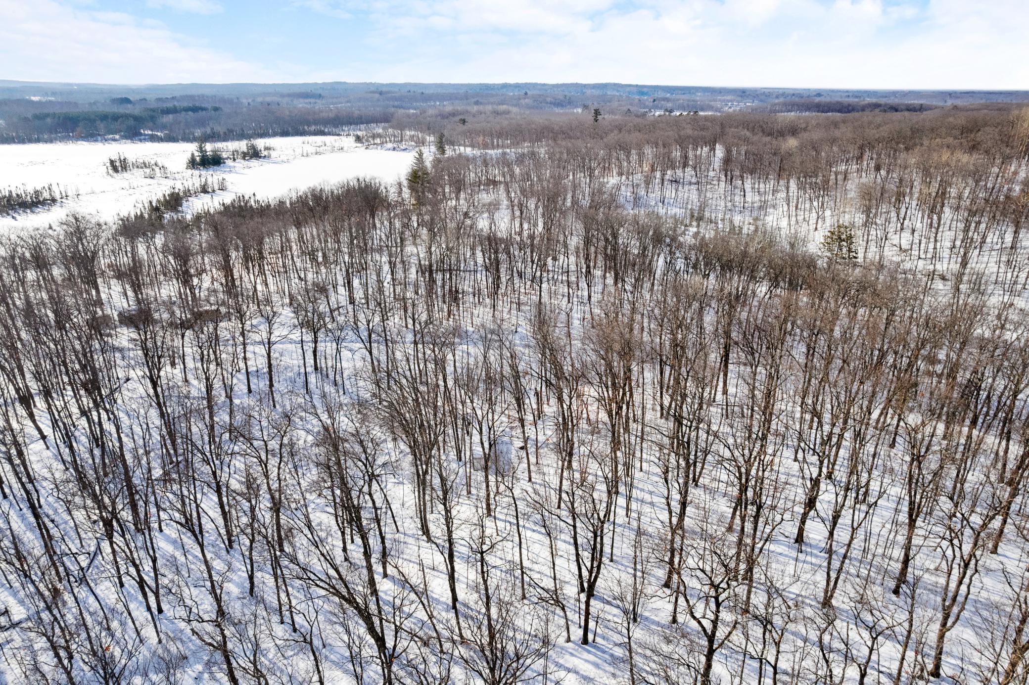 Tbd Chestnut Lane Garrison, MN 56450 - Photo 4 of 13