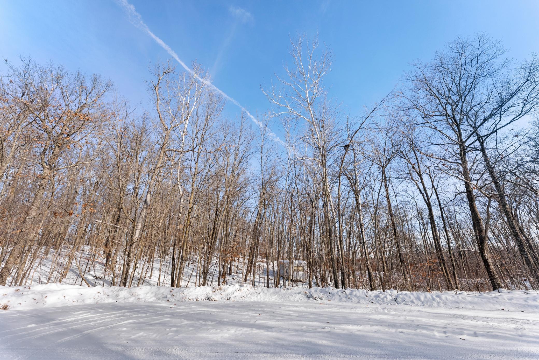 Tbd Chestnut Lane Garrison, MN 56450 - Photo 7 of 13
