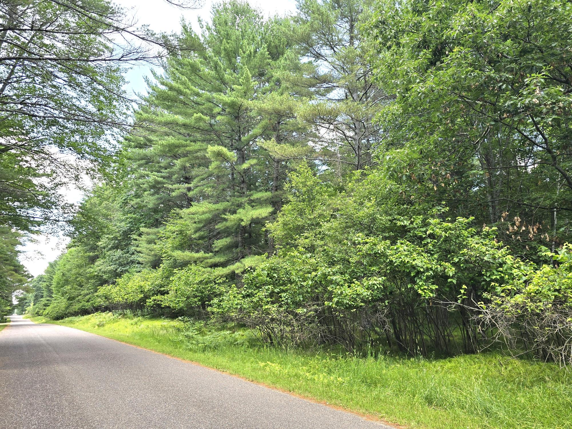 8885 North Townline Road Woodruff, WI 54568 - Photo 14 of 16 Gallery Image 14