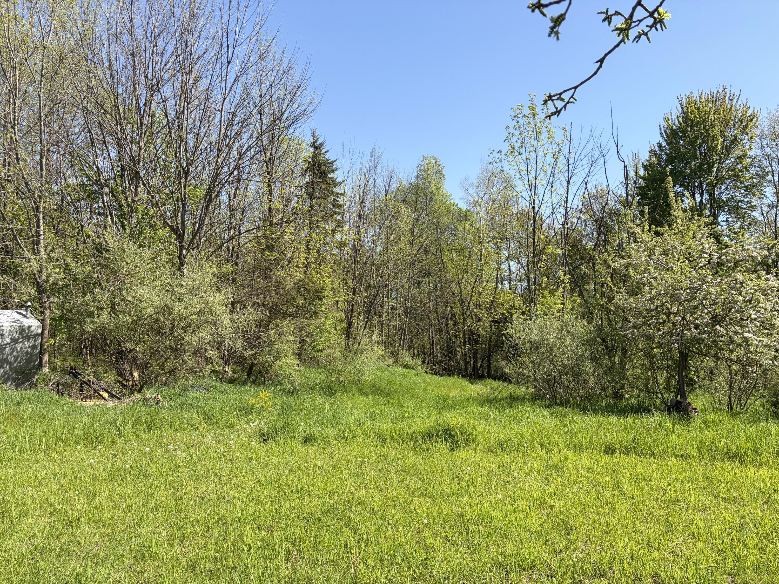2665 East Wilson Road Custer, MI 49405 - Photo 17 of 19 2665 E Wilson Rd