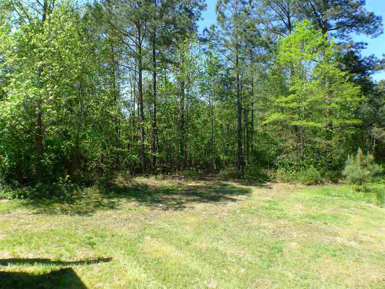 3129 Broughton Road Wendell, NC 27591 - Photo 19 of 21 Photo 19