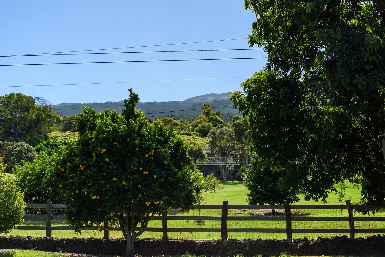 53 Maukanani Road Kula, HI 96790 - Photo 25 of 40