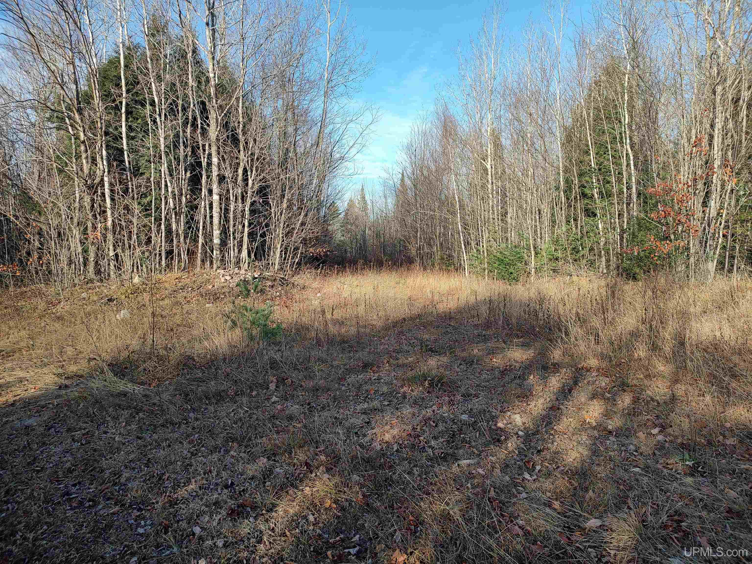 Tbd Billie Helmer Road Deerton, MI 49822 - Photo 12 of 20