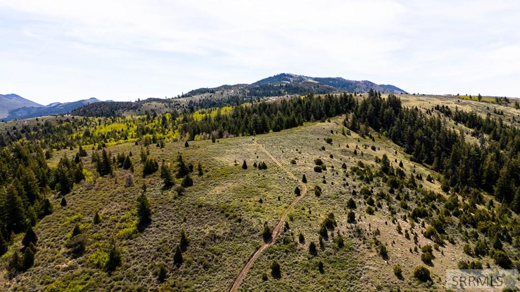 Tbd Fish Creek Road Lava Hot Springs, ID 83246 - Photo 9 of 22