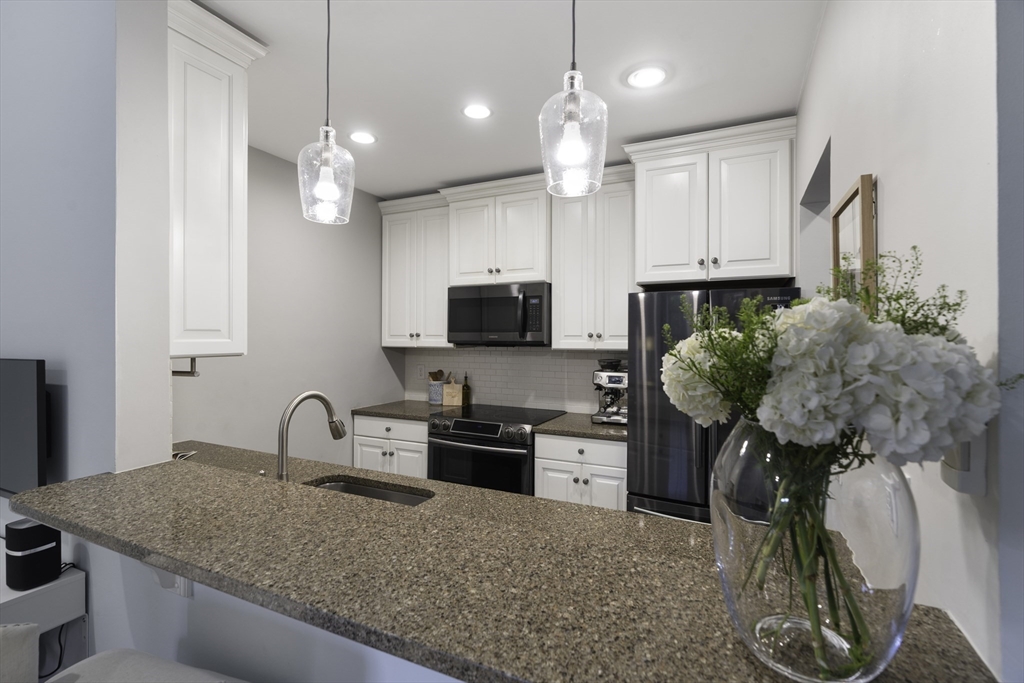202 West Springfield Street, Unit 3 Boston, MA 02118 - Photo 5 of 12 Gallery Image 5