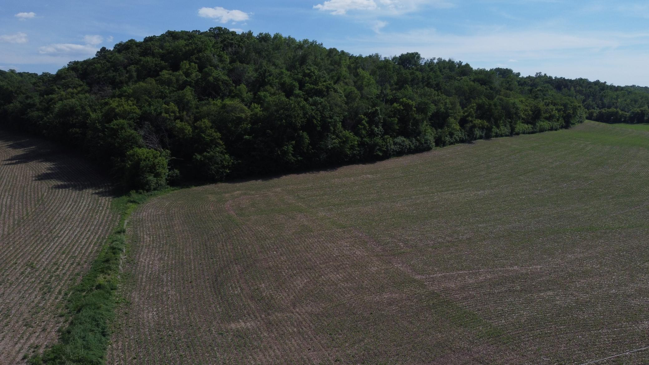 5 County 5 Boulevard Red Wing, MN 55066 - Photo 11 of 13