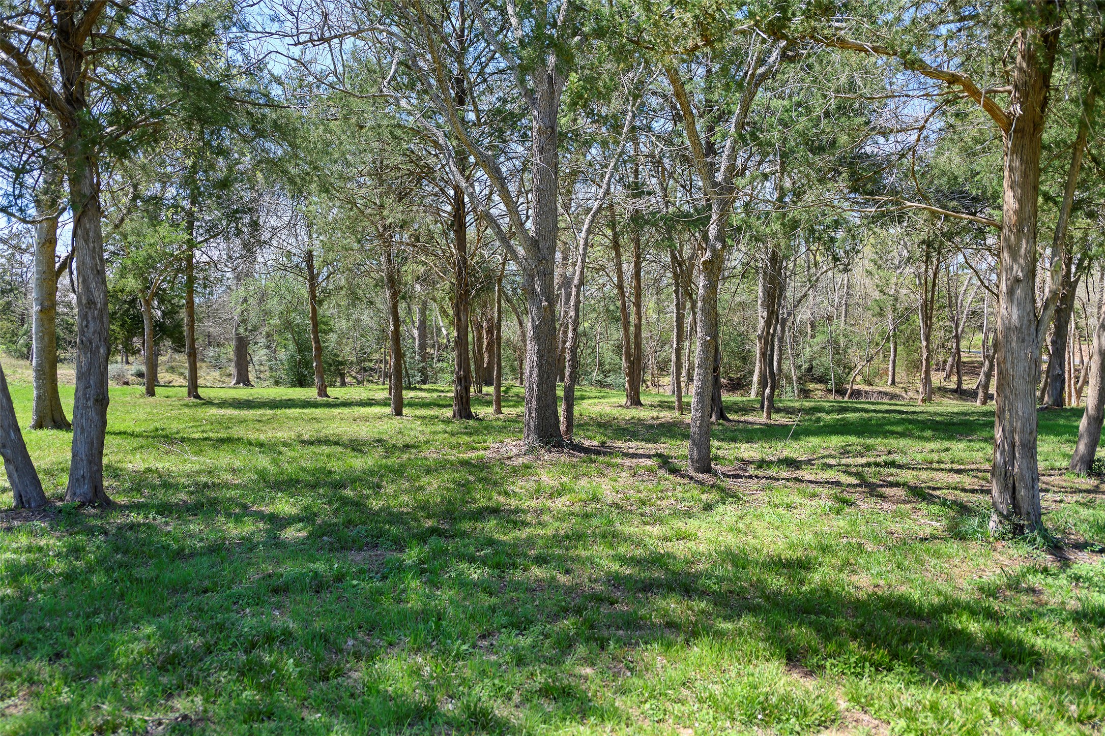 7278 Chadwick-Hogan Road Chappell Hill, TX 77426 - Photo 32 of 35