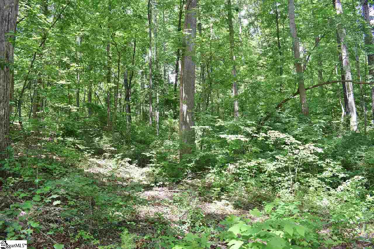 275 John High Road Campobello, SC 29322 - Photo 29 of 36