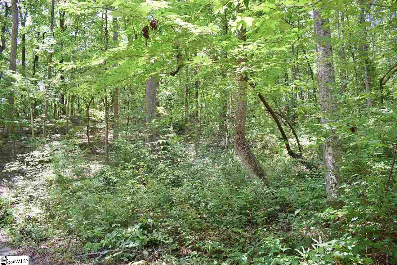 275 John High Road Campobello, SC 29322 - Photo 30 of 36