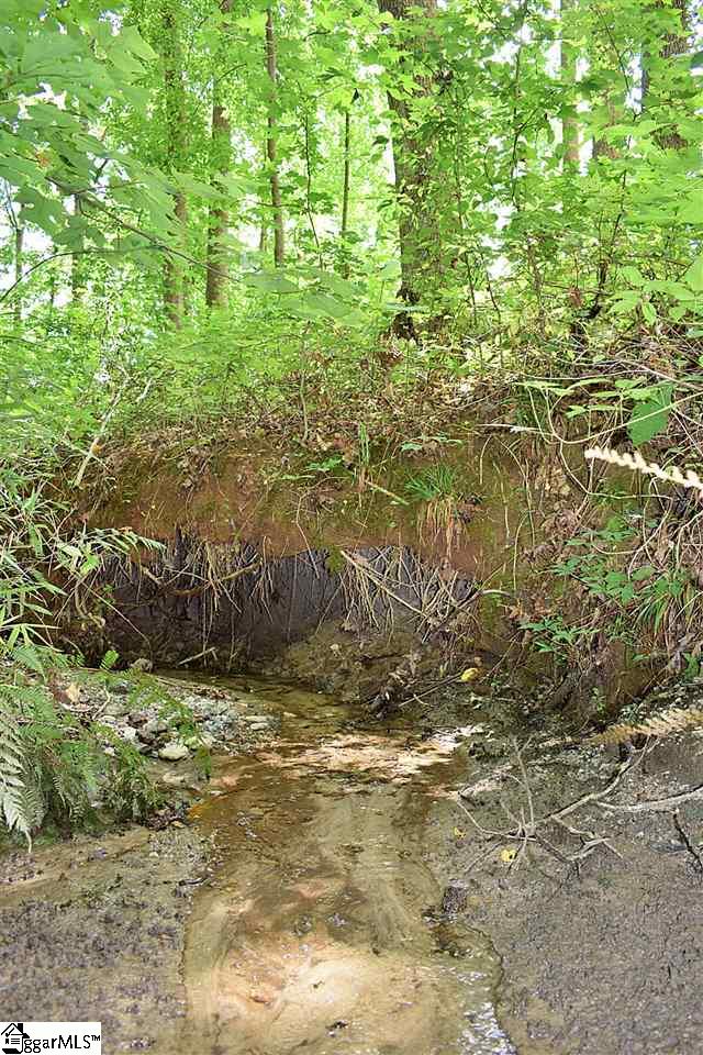 275 John High Road Campobello, SC 29322 - Photo 33 of 36