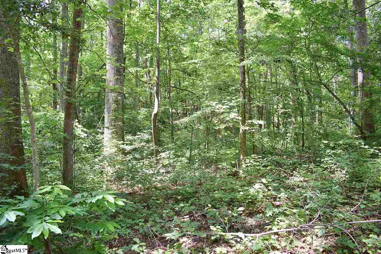 275 John High Road Campobello, SC 29322 - Photo 34 of 36