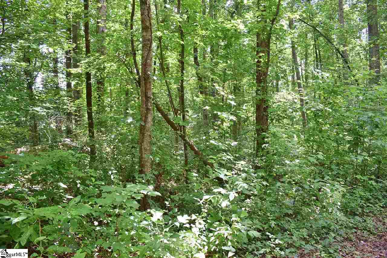 275 John High Road Campobello, SC 29322 - Photo 35 of 36