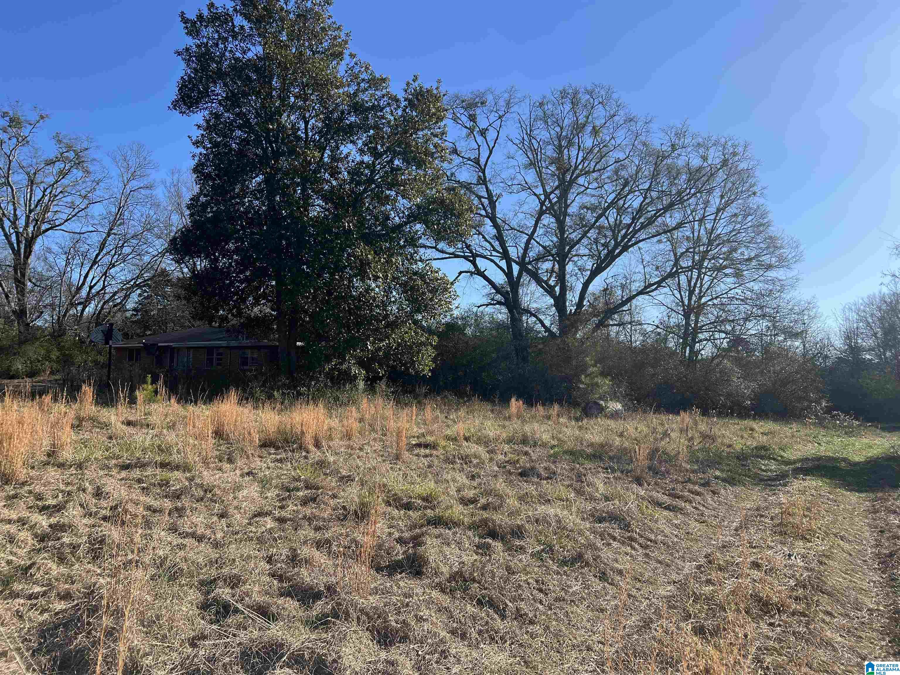 9357 Plant Road Alpine, AL 35014 - Photo 13 of 16