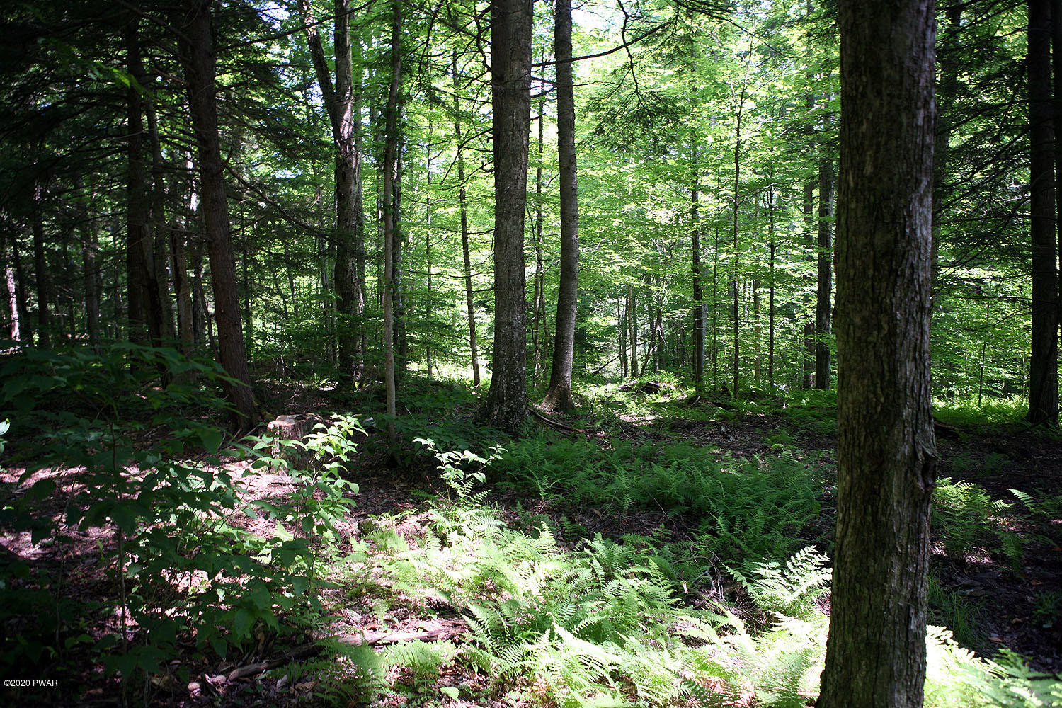 0 Braman Road Equinunk, PA 18417 - Photo 20 of 36