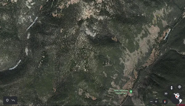 a view of a forest