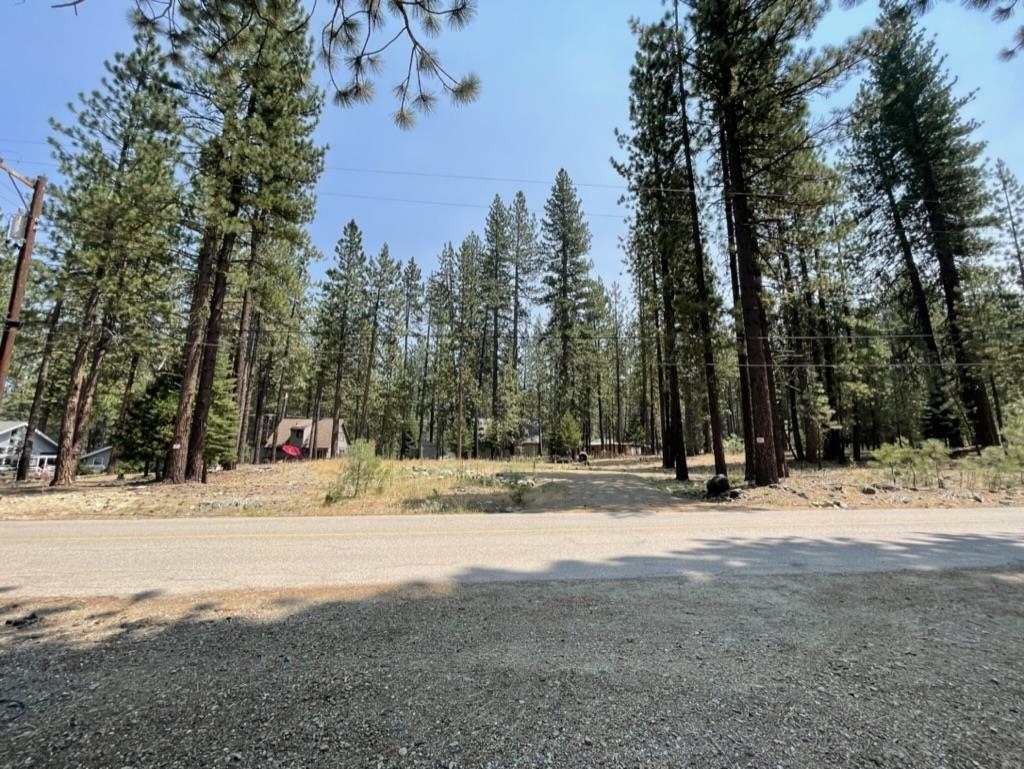 a view of a yard with snow on the road