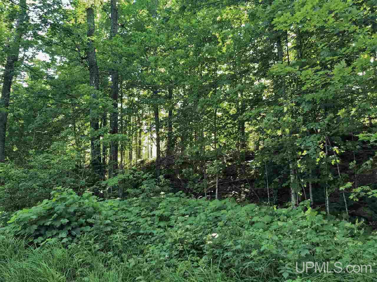 Tbd Jacob Lane Baraga, MI 49908 - Photo 8 of 21