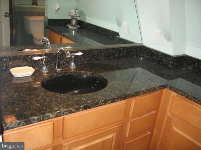 1123 Cherry Point Road West River, MD 20778 - Photo 11 of 16 View of hall bath