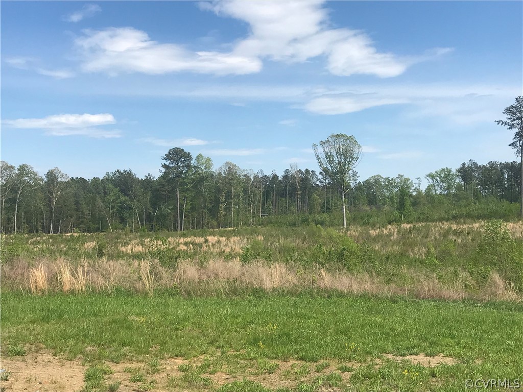 14707 Baltimore Road Dewitt, VA 23840 - Photo 6 of 8
