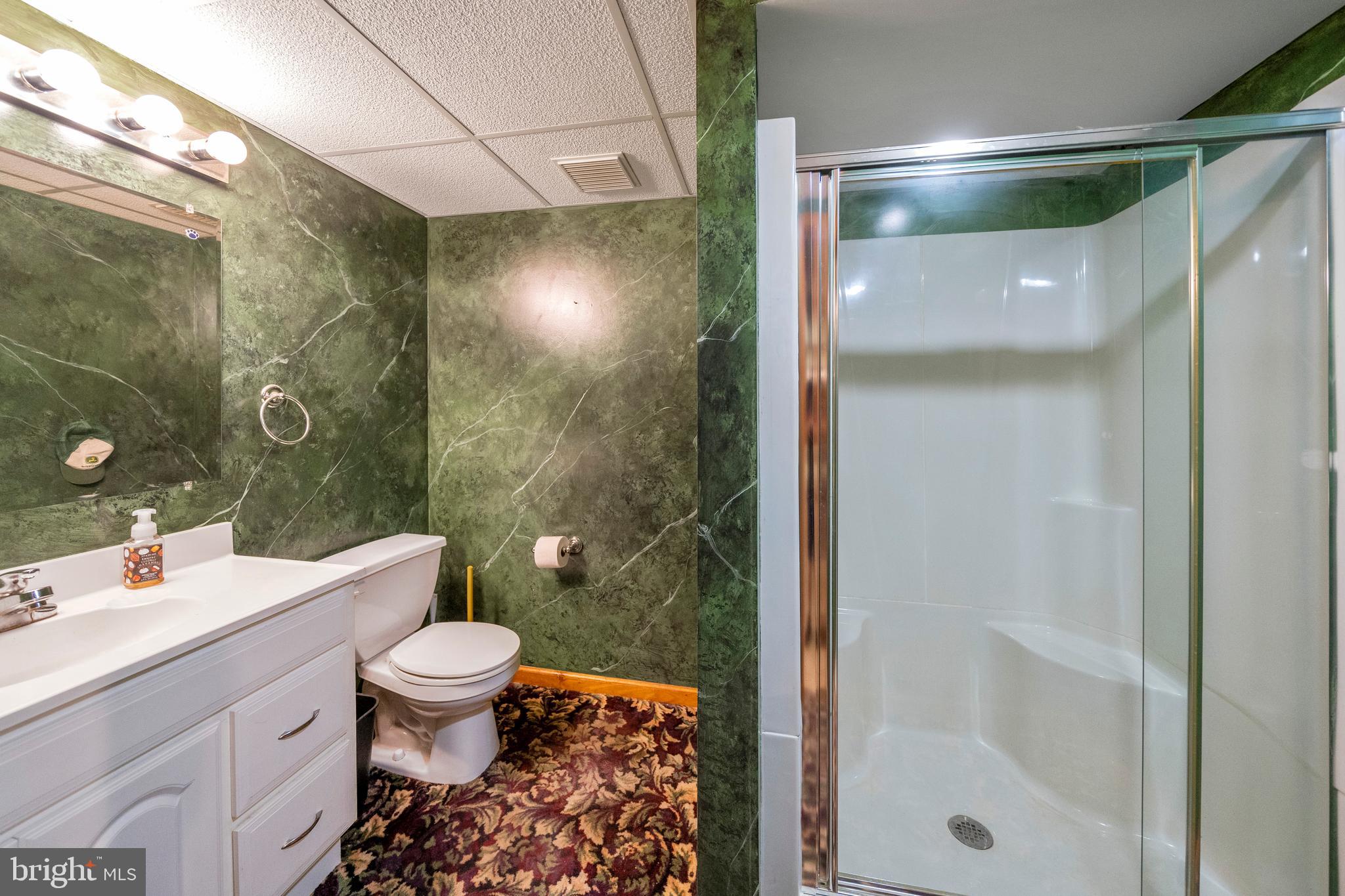 1017 Davis Road Ambler, PA 19002 - Photo 50 of 66 Full bath in basement
