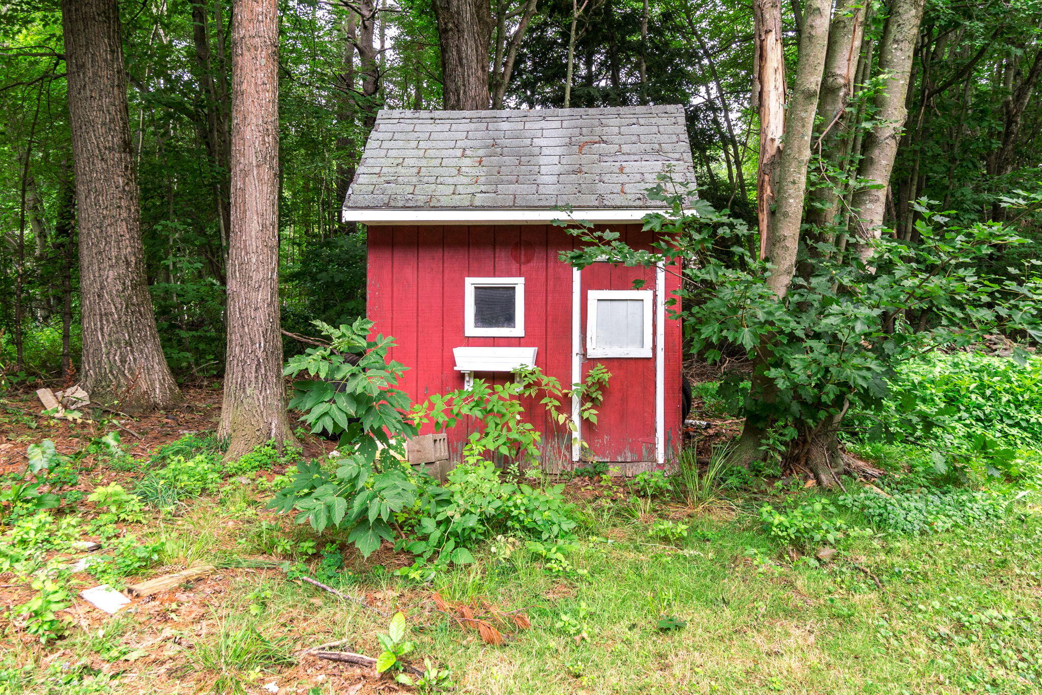 181 Buxton Road Saco, ME 04072 - Photo 23 of 34 Backyard