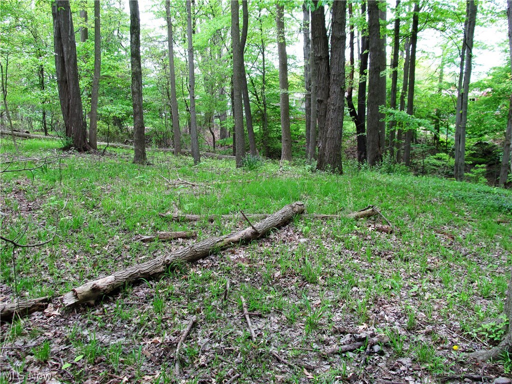 7690 Webster Road Middleburg Heights, OH 44130 - Photo 19 of 21