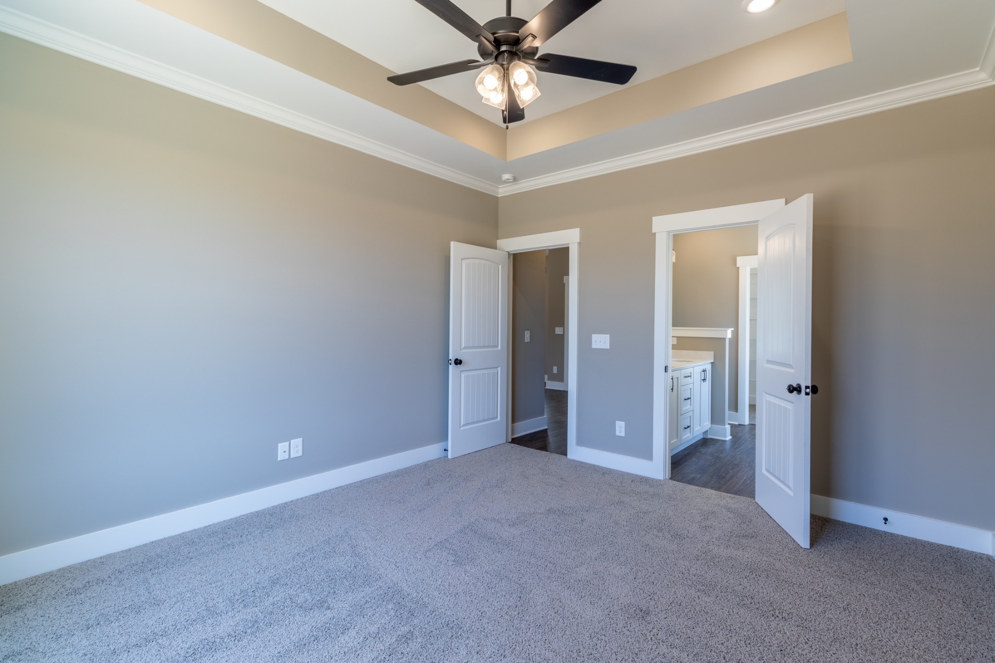 1137 Goose Drive Springfield, TN 37172 - Photo 21 of 28 an empty room with closet and a chandelier fan