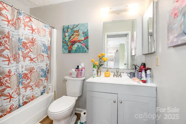a bathroom with a sink mirror vanity and toilet
