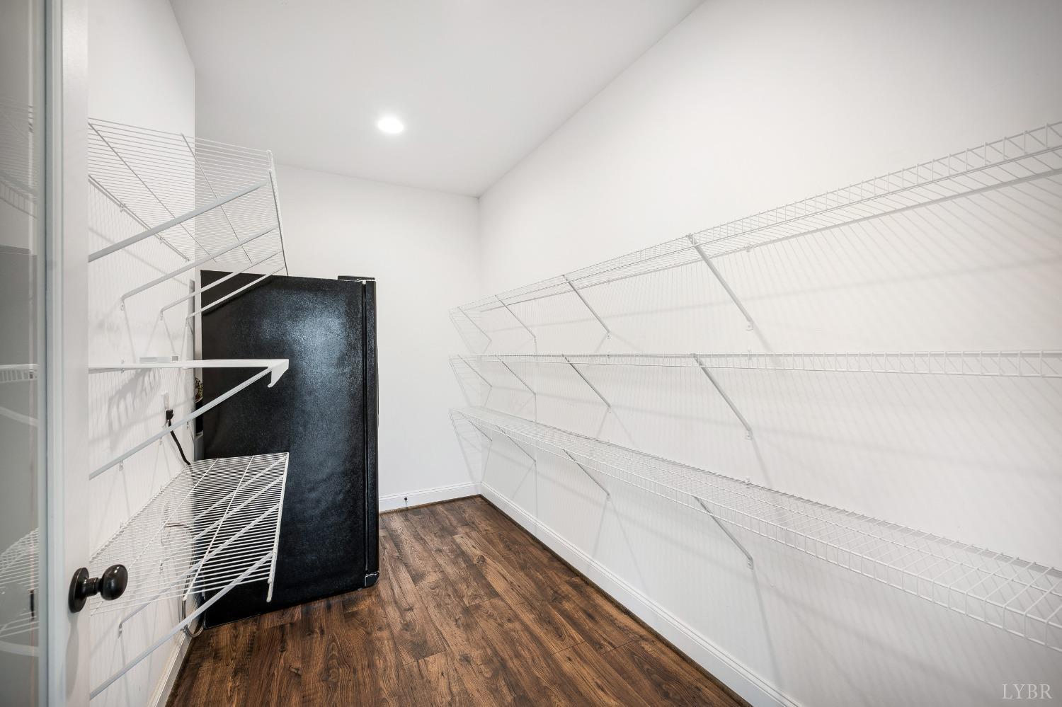 1695 Colby Drive Forest, VA 24551 - Photo 17 of 92 Huge pantry with refrigerator