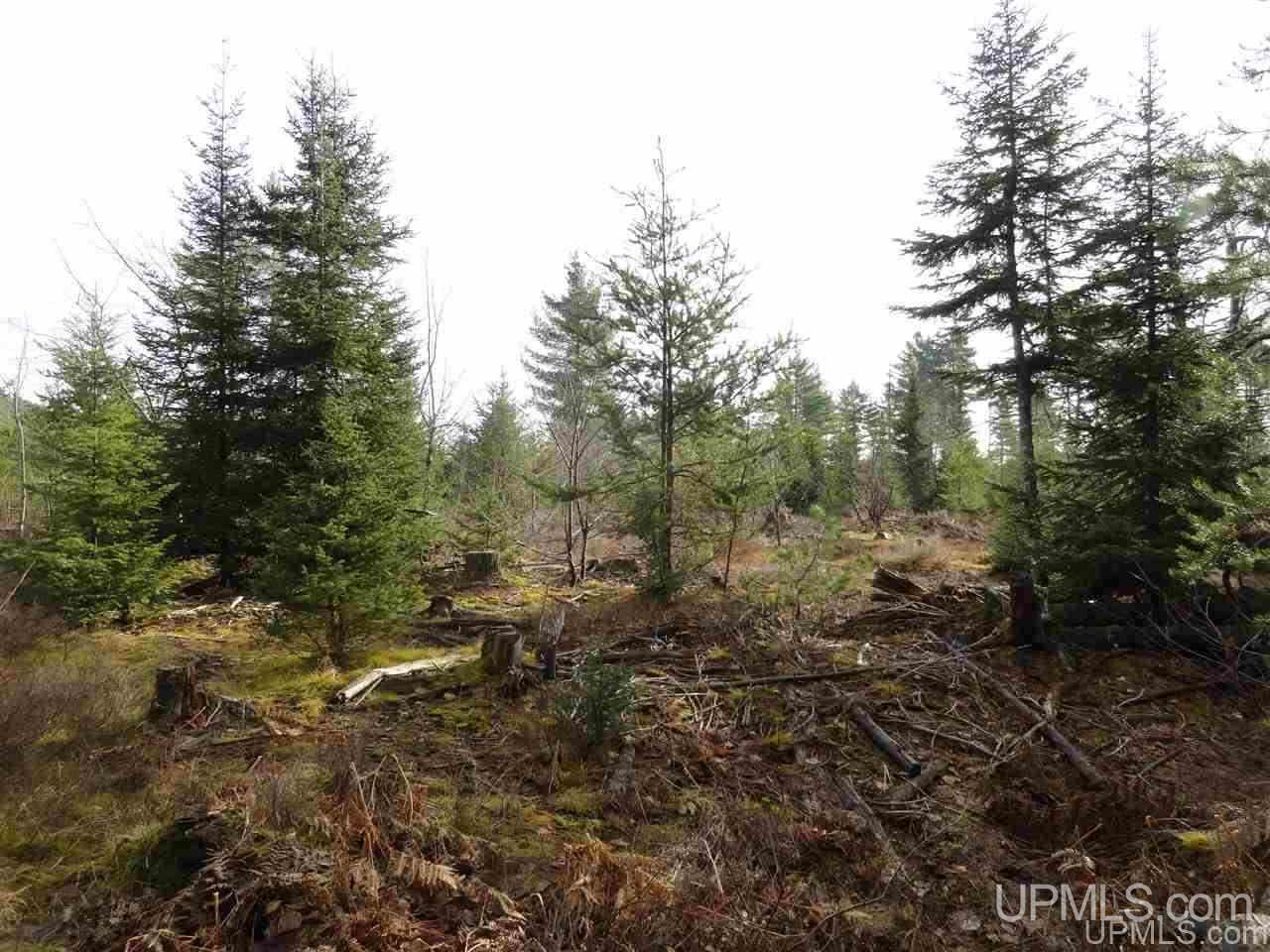 80-acres 80-acres Co Road Negaunee, MI 49866 - Photo 36 of 45