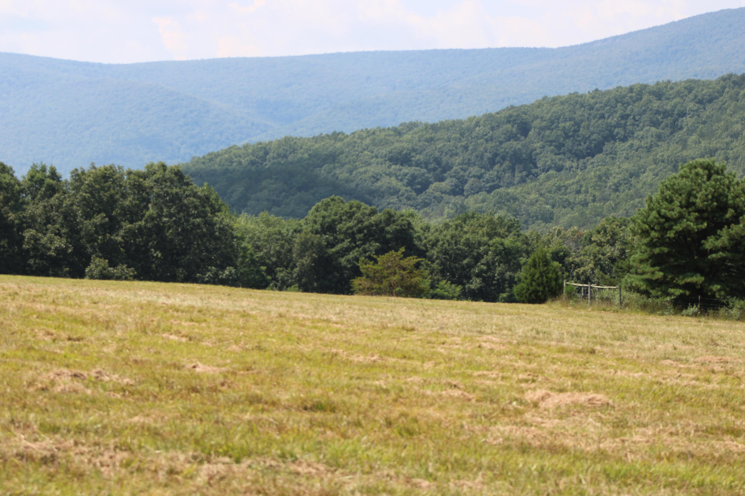 2816 Johns Creek Road New Castle, VA 24127 - Photo 11 of 96 IMG_0102
