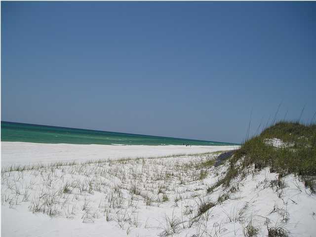Lot 7 Pompano Pl Inlet Beach Inlet Beach, FL 32461 - Photo 4 of 7 a view of a dry yard with wooden fence