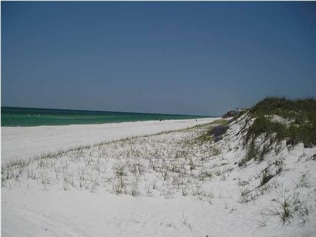 Lot 7 Pompano Pl Inlet Beach Inlet Beach, FL 32461 - Photo 5 of 7 a view of a dry yard with wooden fence