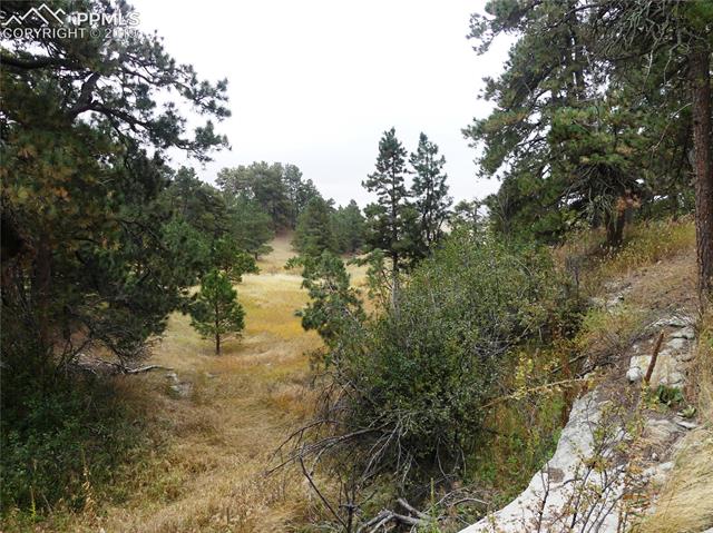 18115 Cumbres Road Peyton, CO 80831 - Photo 14 of 16 Gallery Image 14