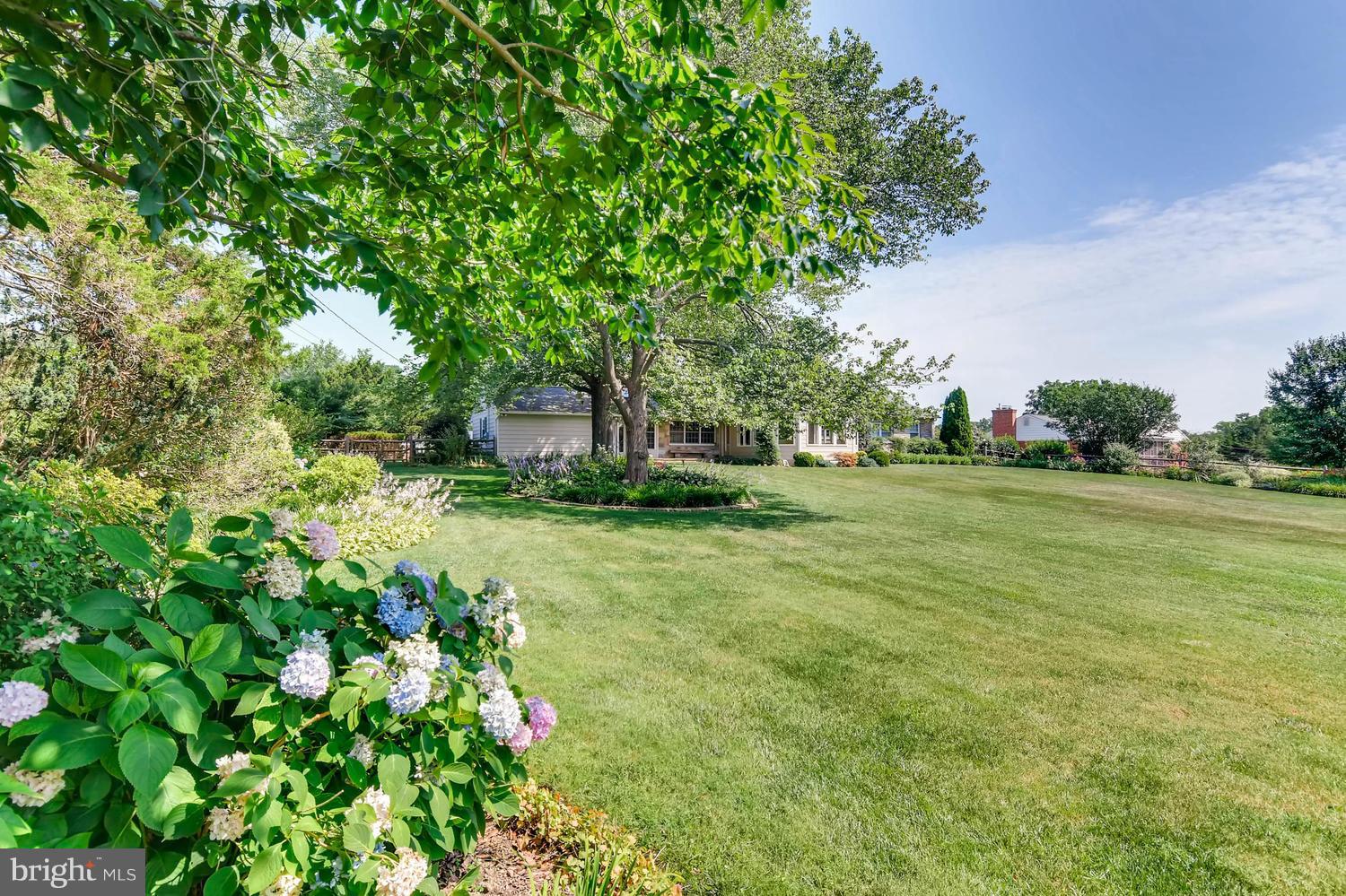 327 East Timonium Road Lutherville-Timonium, MD 21093 - Photo 6 of 30 Stunning Landscaped Flat Backyard