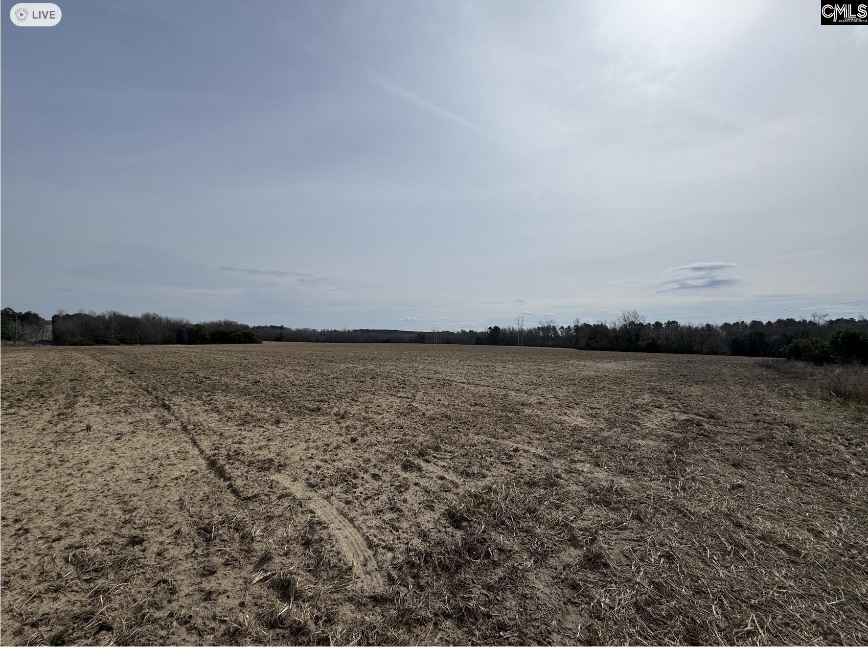 Tbd Firetower Road Springfield, SC 29146 - Photo 10 of 12