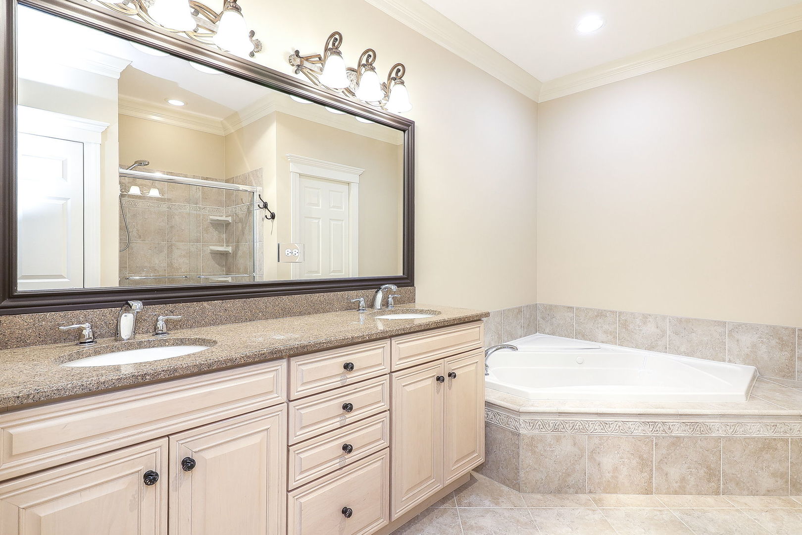 1751 Rizzi Lane Bartlett, IL 60103 - Photo 14 of 28