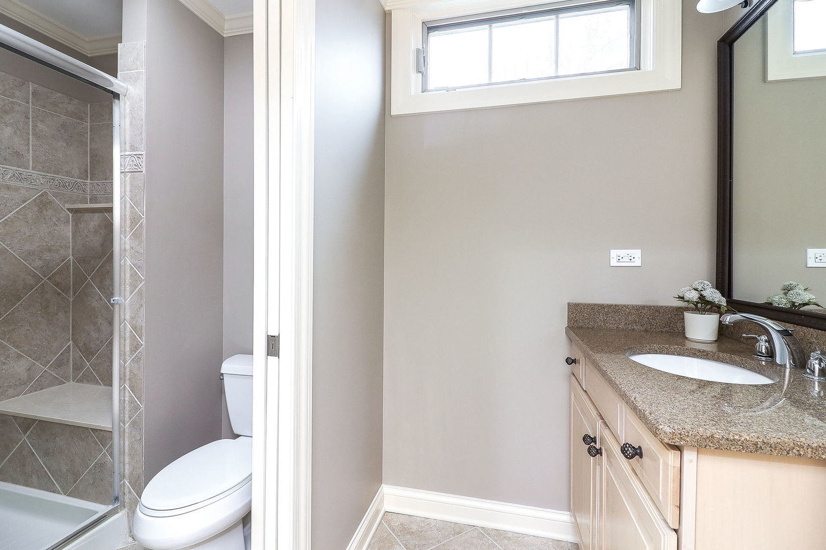 1751 Rizzi Lane Bartlett, IL 60103 - Photo 19 of 28