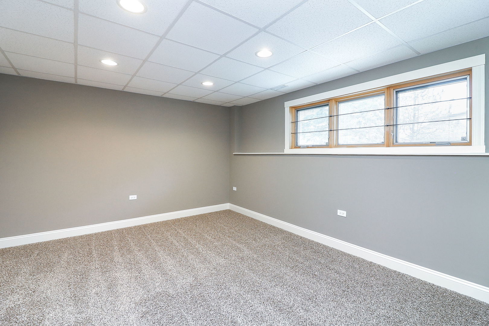 1751 Rizzi Lane Bartlett, IL 60103 - Photo 24 of 28