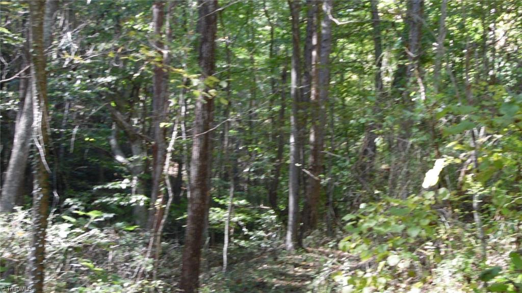 5347 Longbottom Road Hays, NC 28635 - Photo 11 of 13 Gallery Image 11