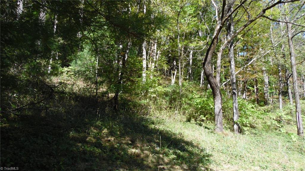 5347 Longbottom Road Hays, NC 28635 - Photo 13 of 13 Gallery Image 13