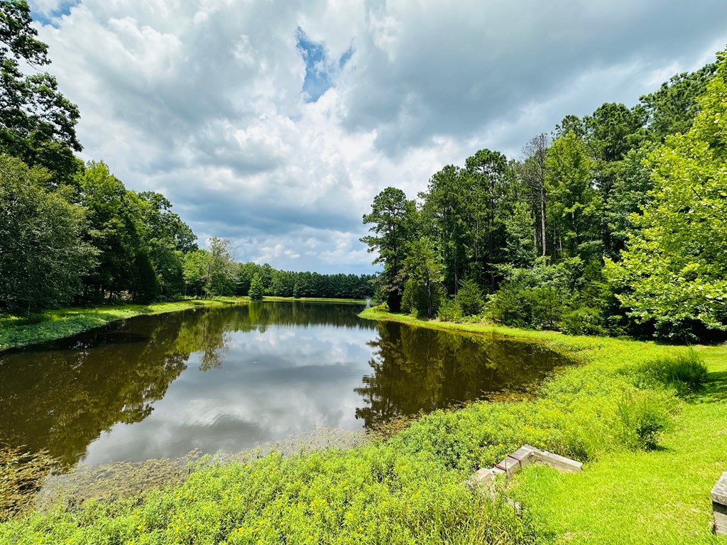 0 Friendfield Lane Greenwood, SC 29649 - Photo 4 of 6 Gallery Image 4