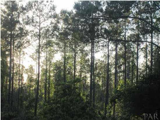 32 A Wallace Lake Road Pace, FL 32571 - Photo 1 of 1